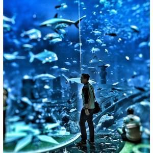 Meet your Posher, Eddi